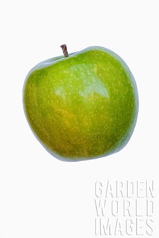 Apple_Granny_Smith_Malus_domestica_Granny_Smith_Studio_shot_of_green_fruit_against_white_background