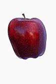 Apple, Apple Red Delicious, Malus domestica Red Delicious, Studio shot of red fruit against white background.