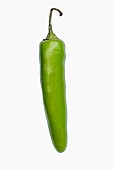 Chilli, Serrano Chili, Capsicum annuum Serrano, Studio shot of green fruit against white background.