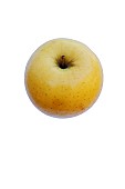 Apple, Golden Delicious apple, Malus domestica Golden Delicious, Studio shot of single yellow coloured fruit.