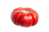 Chinese scarlet egg plant, Solanum integrifolium, Studio shot of single red coloured pumpkin.