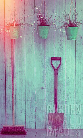 A_broom_a_spade_and_three_hanging_pots_of_daisies_hanging_from_a_gardeners_shed