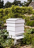 Bee Hive, in kitchen garden.