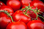 Tomato, Solanum Lycopersicum, Organic tomatoes on display in maket.