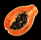 CARICA PAPAYA, PAPAYA