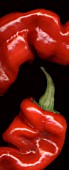 CAPSICUM ANNUUM, PEPPER - SWEET PEPPER