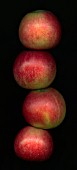 MALUS DOMESTICA DISCOVERY, APPLE