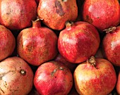 PUNICA, POMEGRANATE