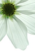 COSMOS