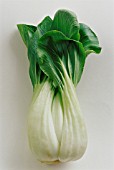 BRASSICA CHINENSIS, PAK CHOI