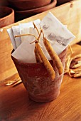 DRIED RUNNER BEAN PODS WITH COLLECTED SEEDS IN POT