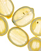 CITRUS LIMON, LEMON