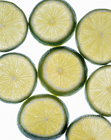 CITRUS_AURANTIIFOLIA_LIME