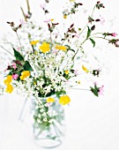 WILD GATHERED FLOWERS IN VASE