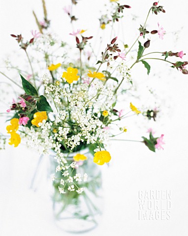 WILD_GATHERED_FLOWERS_IN_VASE