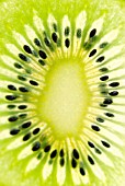 ACTINIDIA CHINENSIS, KIWI