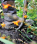 DIGGING IN THE GARDEN WITH FORK