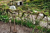 SPADES AT REST IN ALLOTMENT VEGETABLE GARDEN