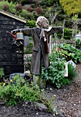 SCARECROW IN VEG PATCH