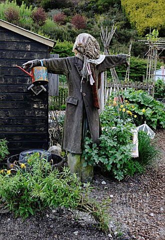 SCARECROW_IN_VEG_PATCH