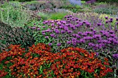 HELENIUM IN ASSOCIATION