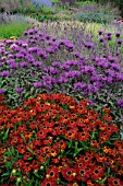 HELENIUM IN ASSOCIATION