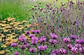 MONARDA DIDYMA IN ASSOCIATION