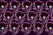 Tulip, Tulipa, Pattern created from open purple flower heads repeated.