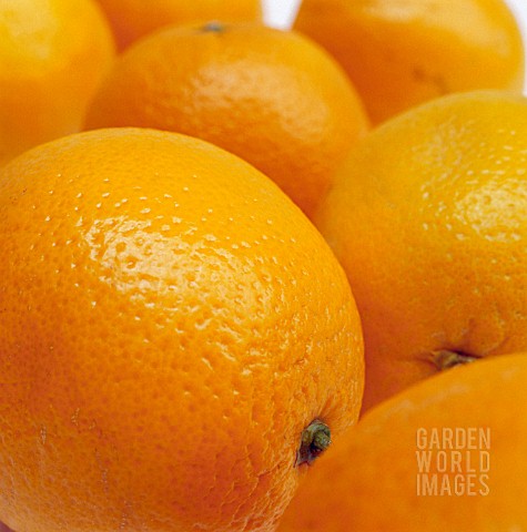 CITRUS_SINENSIS_ORANGE