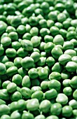 PISUM SATIVUM, PEA