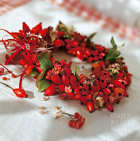 WREATH_OF_ROSEHIPS_AND_SPINDLES
