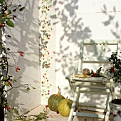 ROSEHIP TENDRILS - NATURAL AND PAINTED ONTO WALL