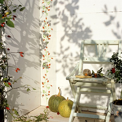 ROSEHIP_TENDRILS__NATURAL_AND_PAINTED_ONTO_WALL