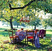 COLOURFULLY DECORATED TABLE WITH LEAVES, BERRIES AND PUMPKINS