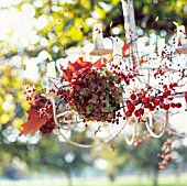 HYDRANGEA, FRUITS AND LEAVES HANGING ON A CANDELABRA