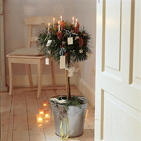 SMALL_PINE_DECORATED_WITH_CANDLES