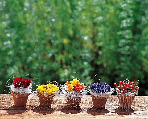 FLOWER_POTS_WITH_ECHINOPS_ROSES_AND_BERRIES