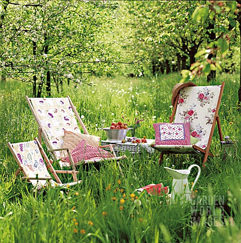 DECK_CHAIRS_IN_FLORAL_PATTERNS
