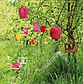 LANTERNS HANGING IN THE GARDEN