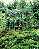 A WALK IN THE WOODS - A HUT OF FRONDS