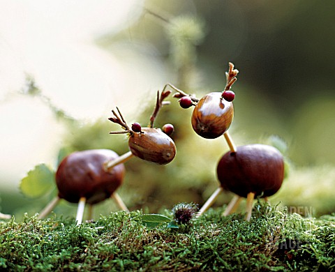 A_WALK_IN_THE_WOODS__ANIMALS_MADE_OF_ACORNS_AND_CHESTNUTS
