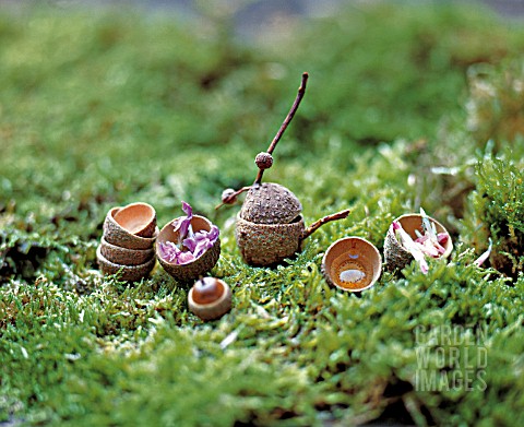 A_WALK_IN_THE_WOODS__HANDICRAFTS_WITH_ACORNS