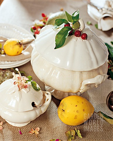 SOUP_TUREEN_WITH_QUINCES