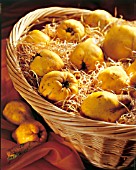 BASKET WITH QUINCES