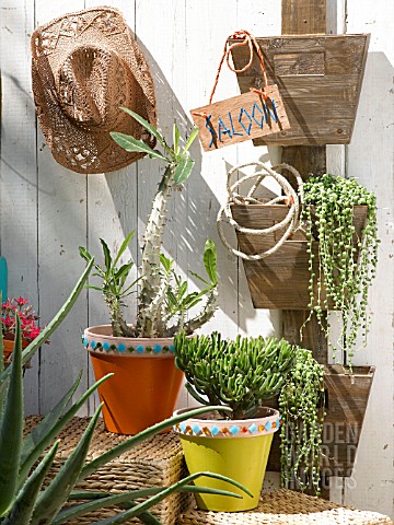 WESTERN_THEMED_POTTED_SUCCULENTS