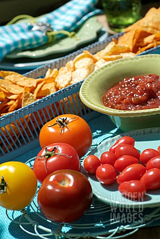 WESTERN_THEMED_GARDEN_PARTY_TABLE_WITH_TOMATOES