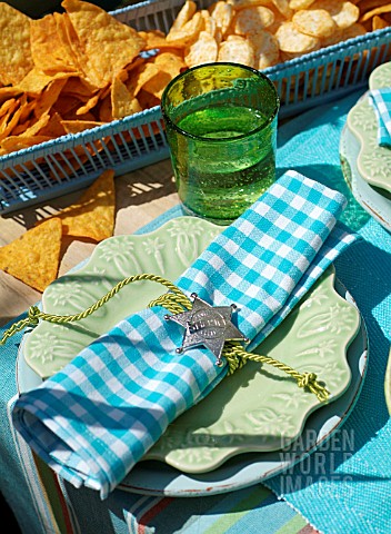 WESTERN_THEMED_GARDEN_PARTY_TABLE