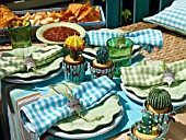WESTERN THEMED GARDEN PARTY TABLE