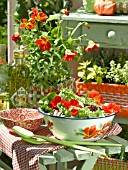 SUMMER SALAD WITH NASTURTIUM