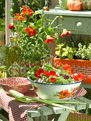 SUMMER_SALAD_WITH_NASTURTIUM